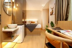 Mount Elizabeth Link (D9), Apartment #461432301